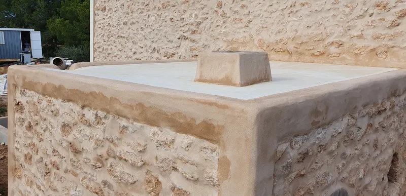 Cas Carter: detalle cubierta