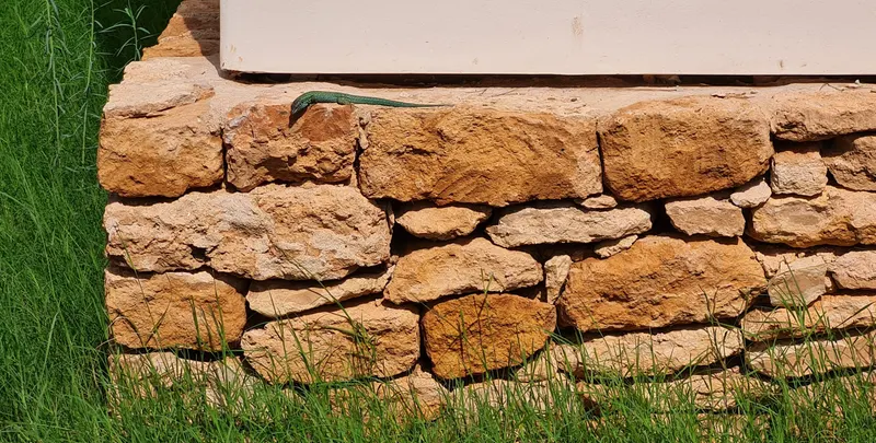 Ses Algues 1: detalle piedra